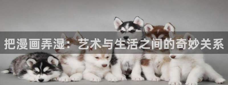 51韩漫免费入口韩漫：把漫画弄湿：艺术与生活之间的奇妙关系