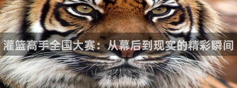 漫画韩漫之家：灌篮高手全国大赛：从幕后到现实的精彩瞬间