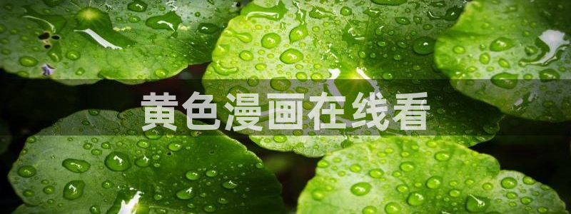 韩漫画免费阅读看漫画下：黄色漫画在线看