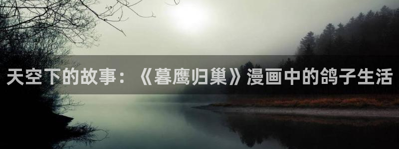 韩漫无删减漫画网：天空下的故事：《暮鹰归巢》漫画中的鸽子生活