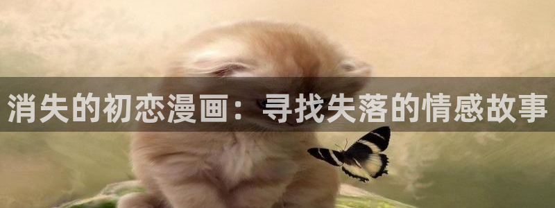 韩漫网站免：消失的初恋漫画：寻找失落的情感故事