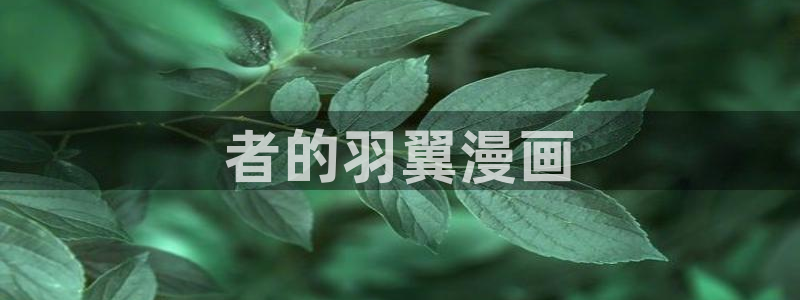 h韩漫网址：者的羽翼漫画