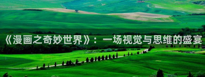 免费看双男主韩漫：《漫画之奇妙世界》：一场视觉与思维的盛宴