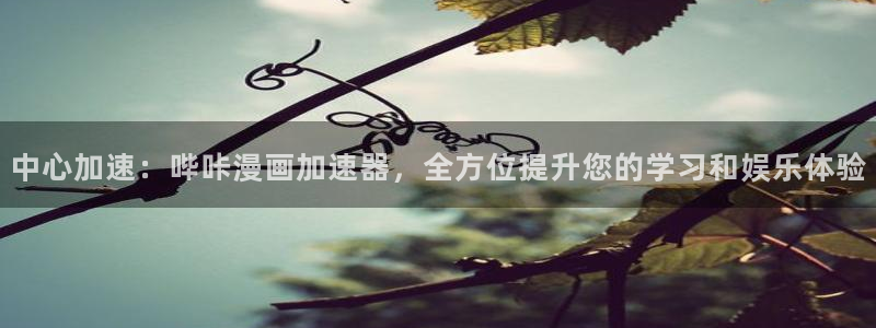 av韩漫在线观看：中心加速：哔咔漫画加速器，全方位提升您的学习和娱乐体验