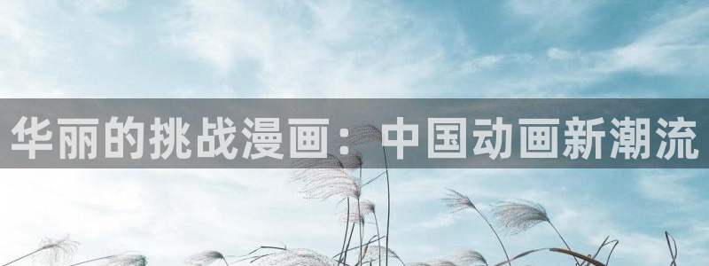 韩漫社漫画免费观看：华丽的挑战漫画：中国动画新潮流