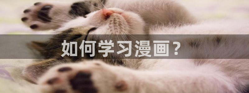 好看的歪歪韩漫：如何学习漫画？