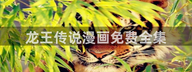 免费韩漫网站入口在线看：龙王传说漫画免费全集