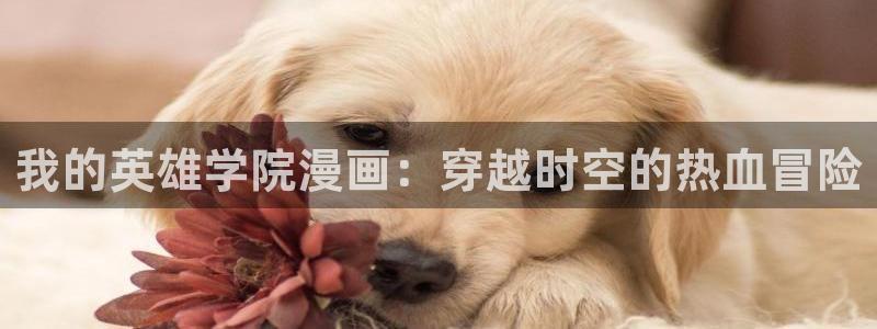 韩漫在线阅读漫画免费：我的英雄学院漫画：穿越时空的热血冒险