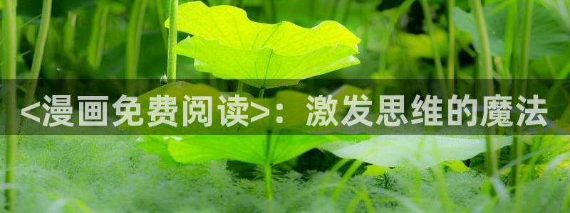 韩漫日漫免费漫画入口